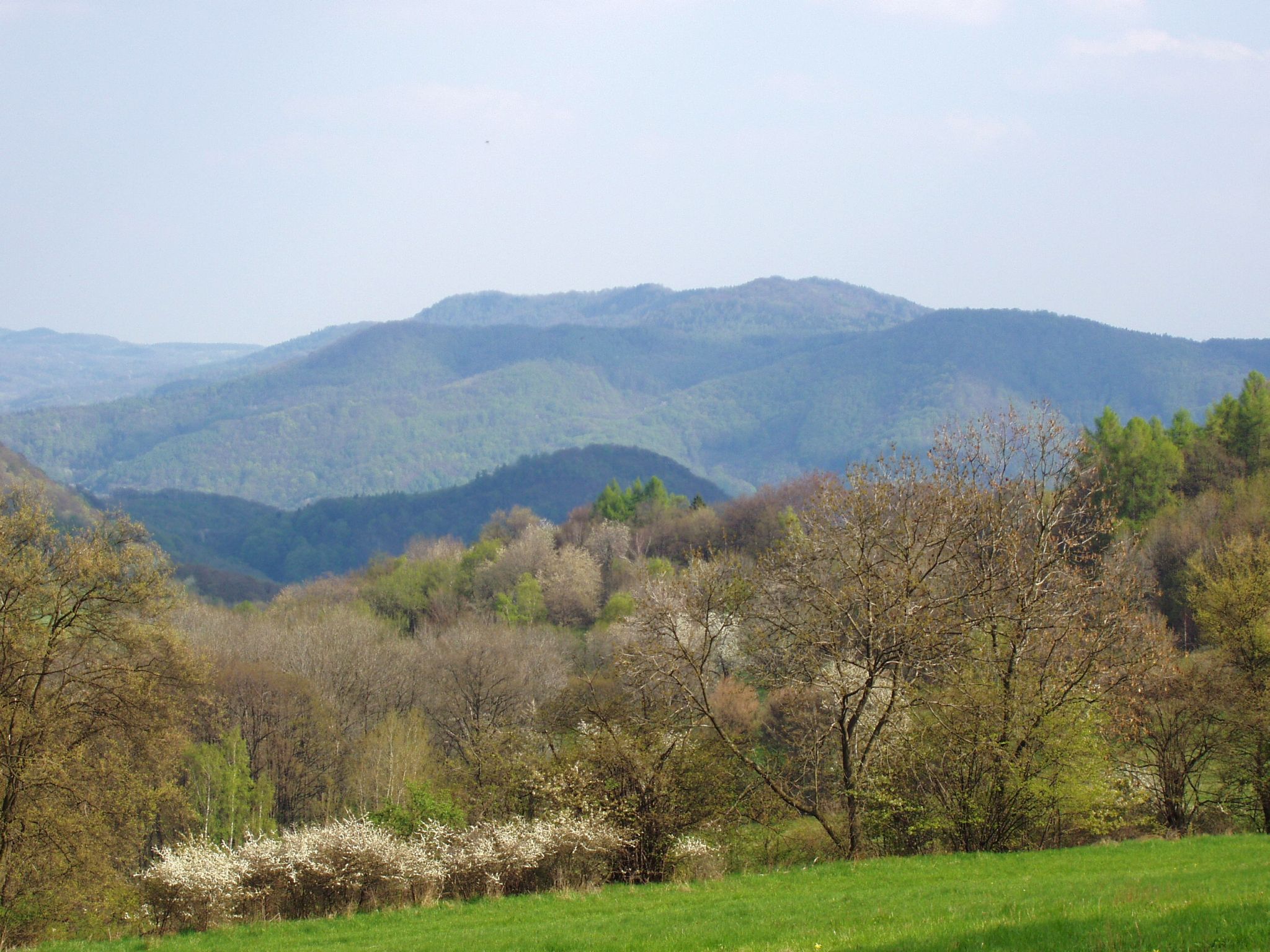 obraz_zvuk:priroda:jiri_solnicka:krajiny:usti_nad_labem_-_krajina_1.jpg
