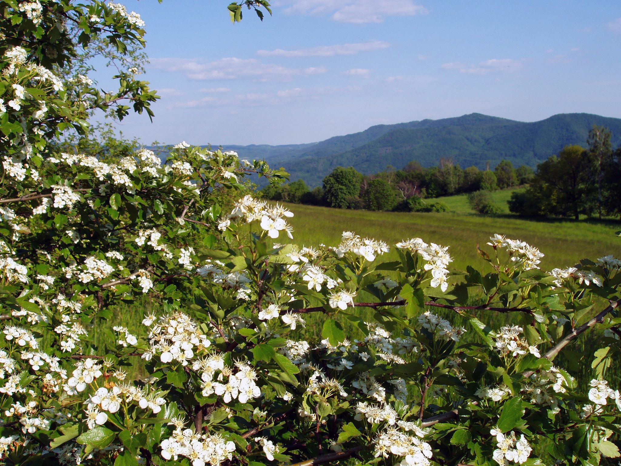 obraz_zvuk:priroda:jiri_solnicka:krajiny:usti_nad_labem_-_krajina_4.jpg