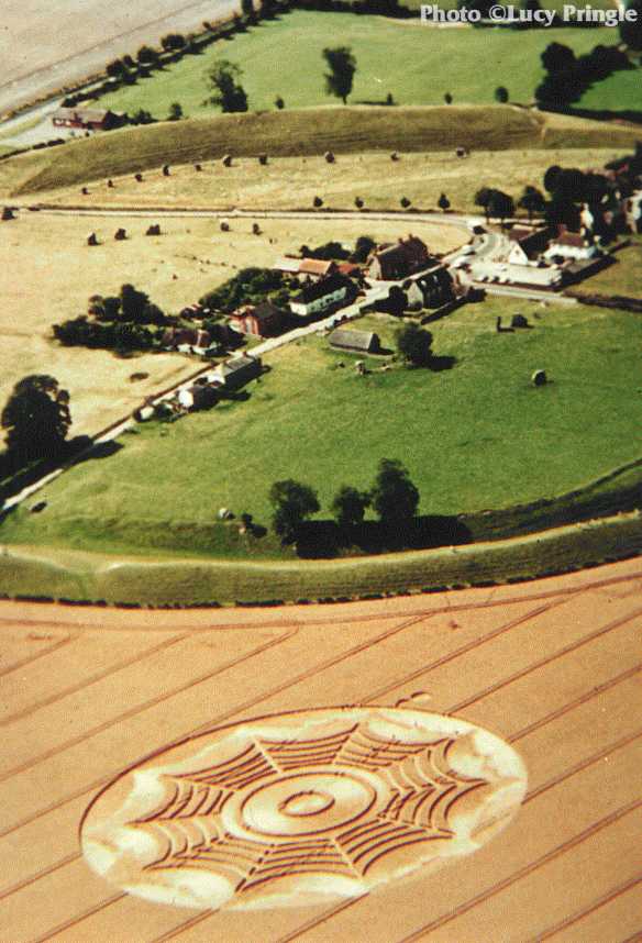 obraz_zvuk:priroda:obrazce_v_krajine:1994:anglie:2_-_avebury_wiltshire_anglie_-_10.8.1994.jpg