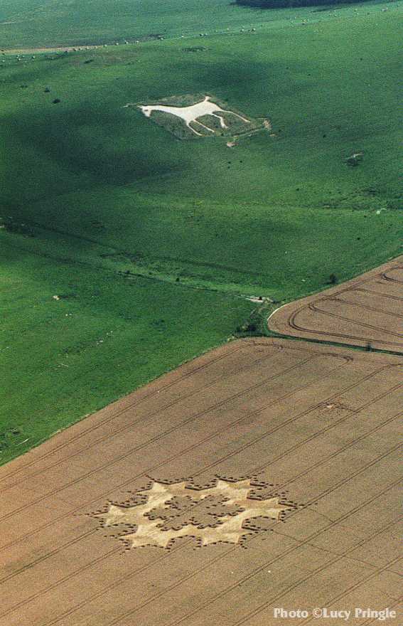 obraz_zvuk:priroda:obrazce_v_krajine:1997:anglie:22_-_milk_hill_wiltshire_anglie_-_7.8.1997.jpg