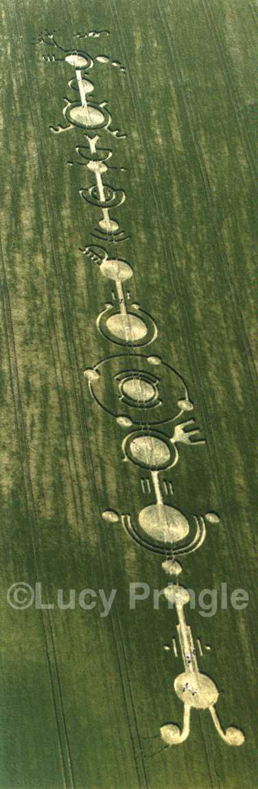 obraz_zvuk:priroda:obrazce_v_krajine:1999:anglie:25_-_east_field_u_alton_barnes_wiltshire_anglie_-_12.6.1999.jpg