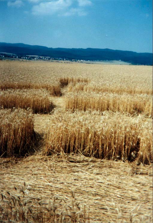 obraz_zvuk:priroda:obrazce_v_krajine:1999:cesko:4_-_kostelec_u_zlina_cesko_-_20.7.1999.jpg
