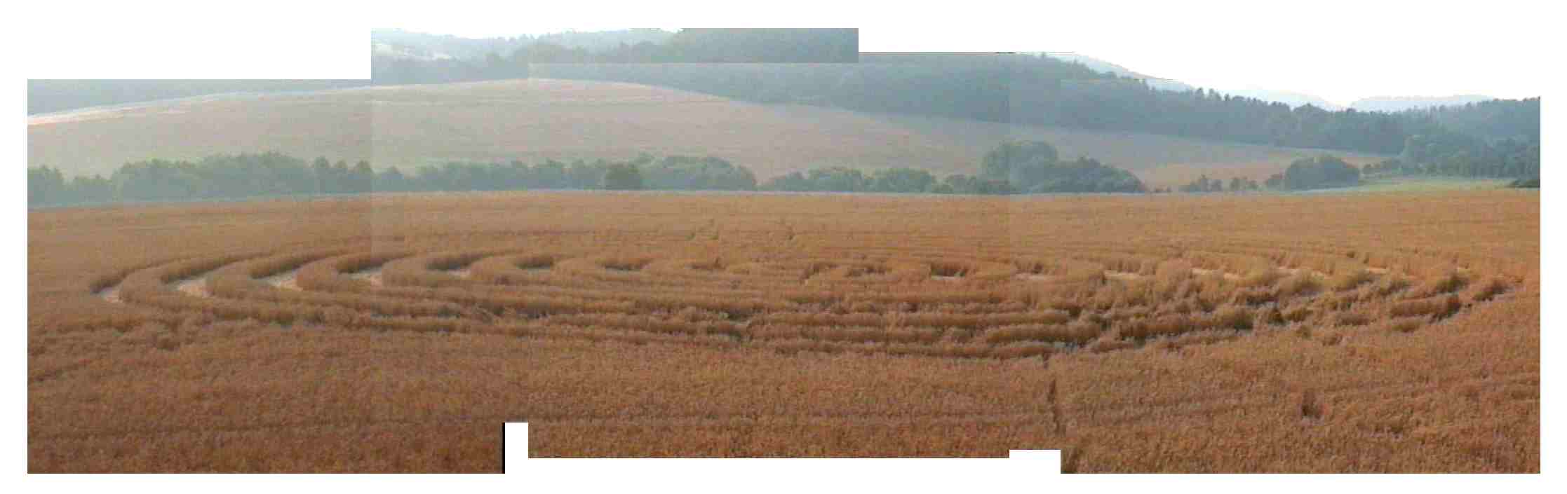 obraz_zvuk:priroda:obrazce_v_krajine:2002:cesko:3_-_lipa_u_zlina_cesko_-_11.7.2002.jpg