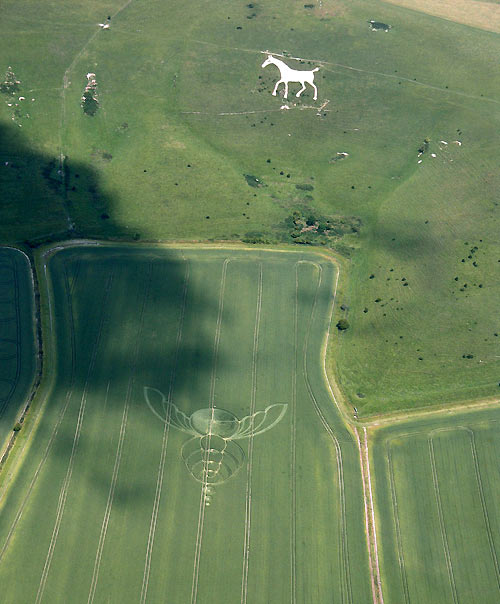 obraz_zvuk:priroda:obrazce_v_krajine:2004:anglie:30_-_milk_hill_u_alton_barnes_wiltshire_anglie_-_26.6.2004.jpg