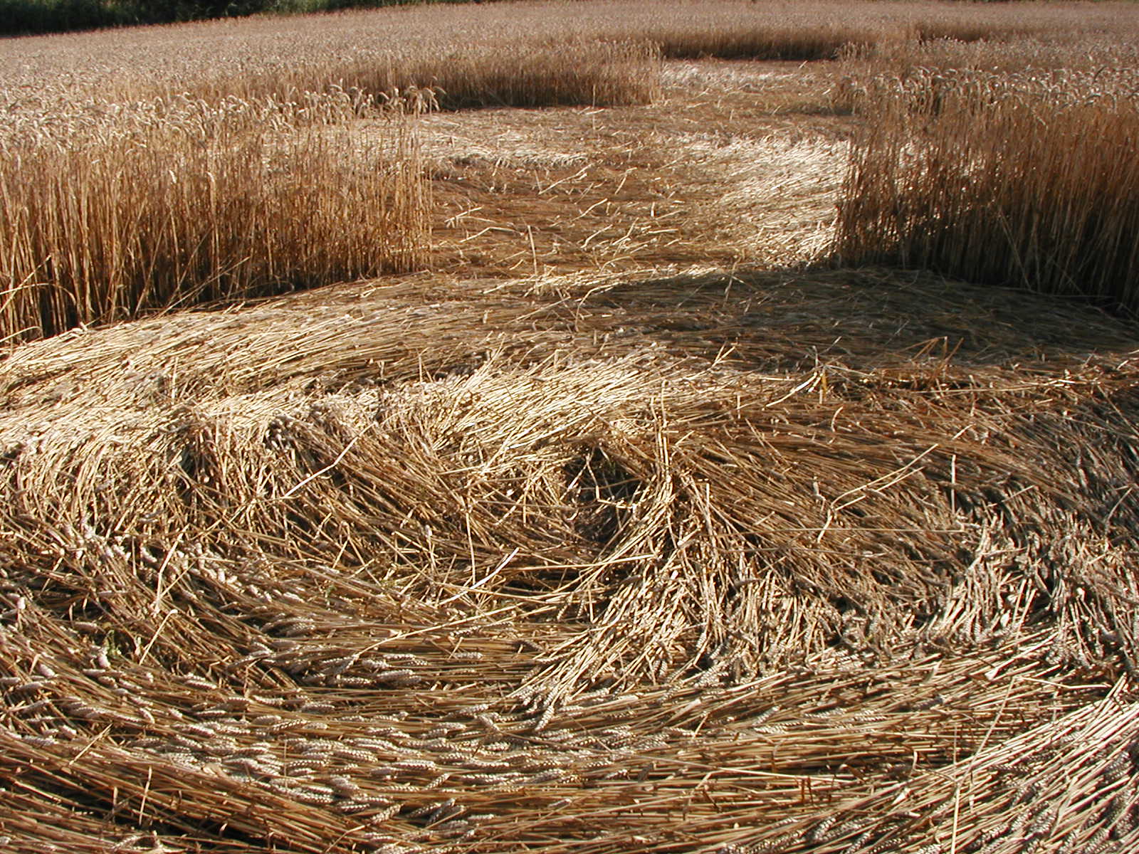 obraz_zvuk:priroda:obrazce_v_krajine:2004:cesko:14_-_rataje_kromeriz_cesko_-_23.7.2004.jpg