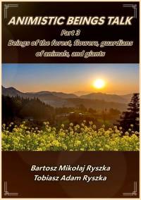 The Elemental Beings Talk - Beings of the forest, flowers, guardians of animals and giants